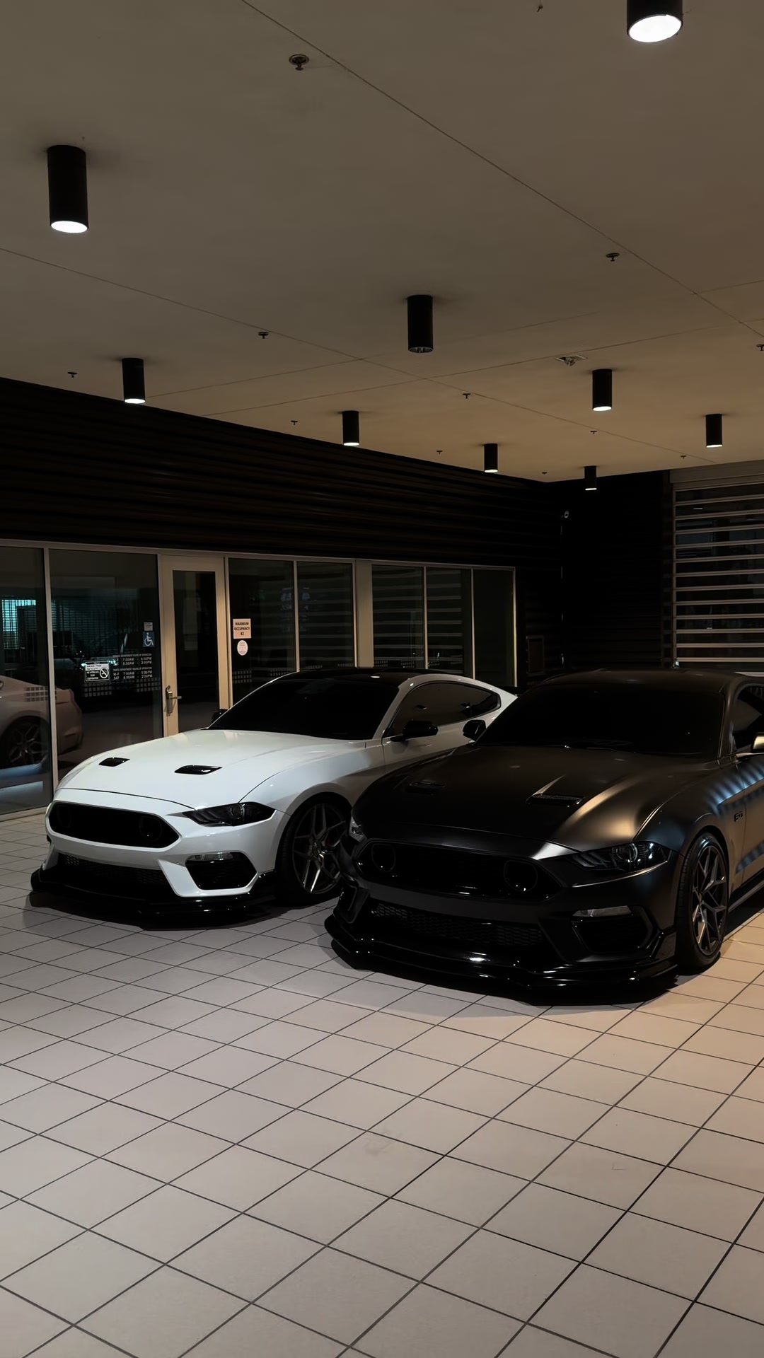 @Jalen.cs