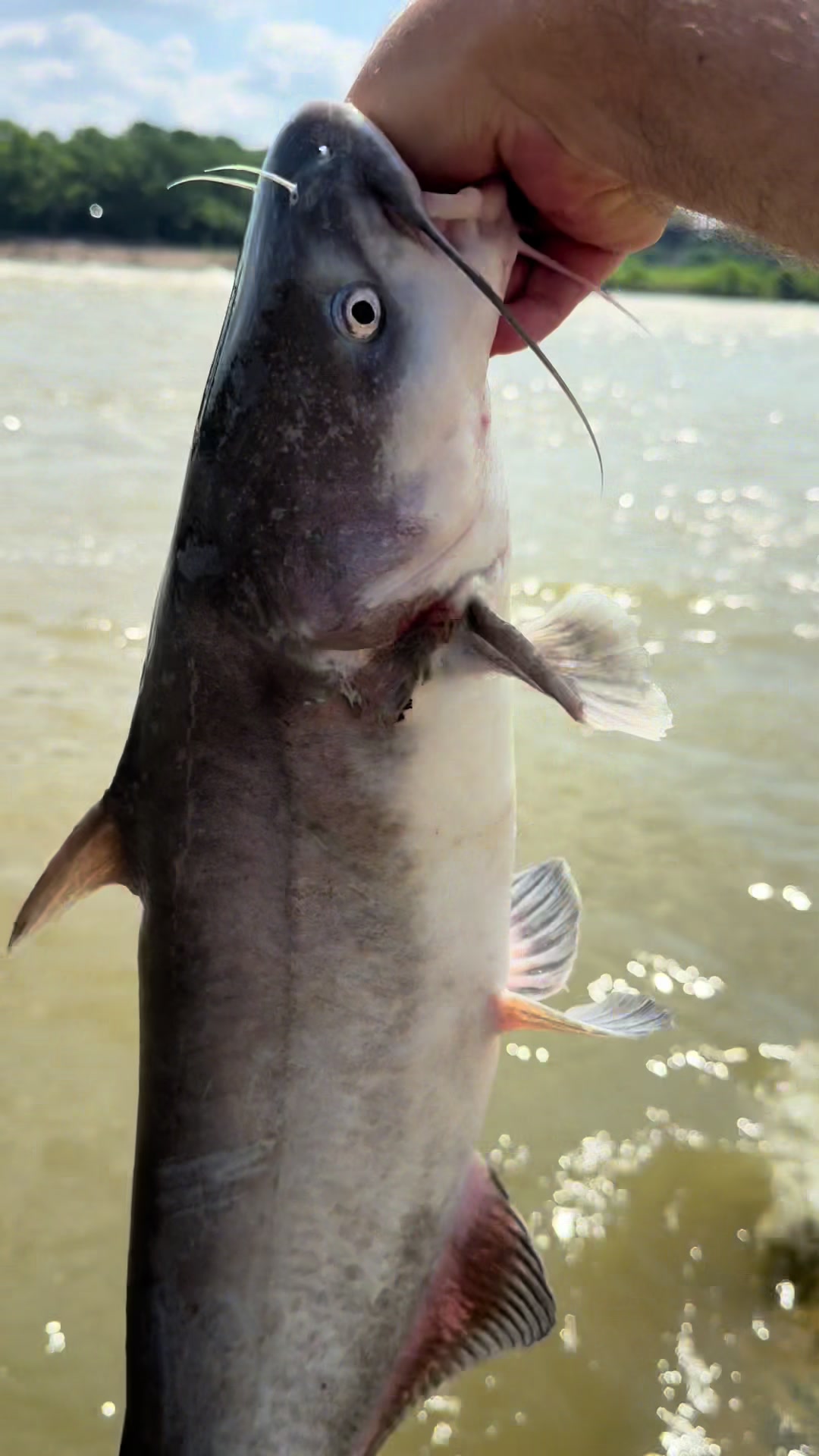 @Kentucky&ensp;Fishing