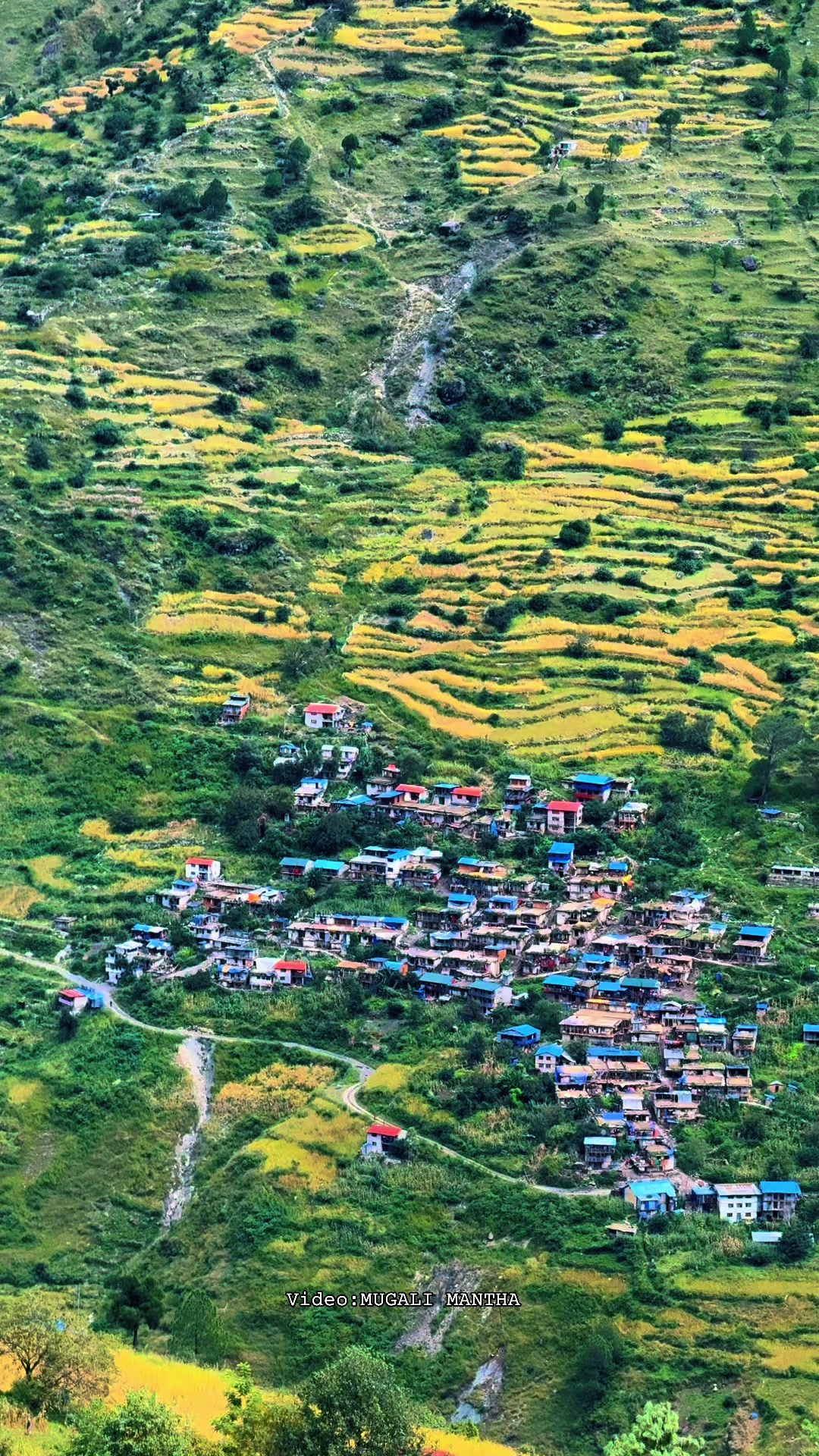 @मुगालि मान्ठ🇳🇵