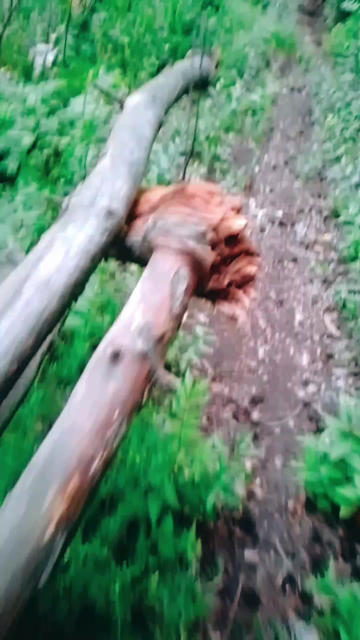 @Балыкчы Малай