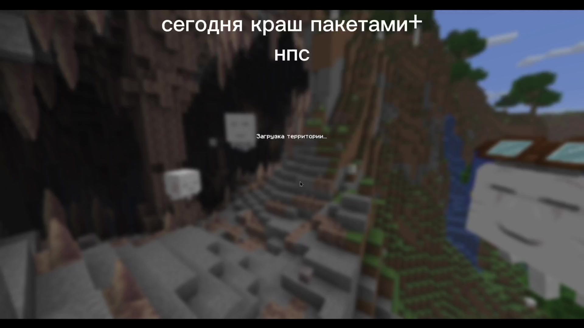 @ZxcCat777
