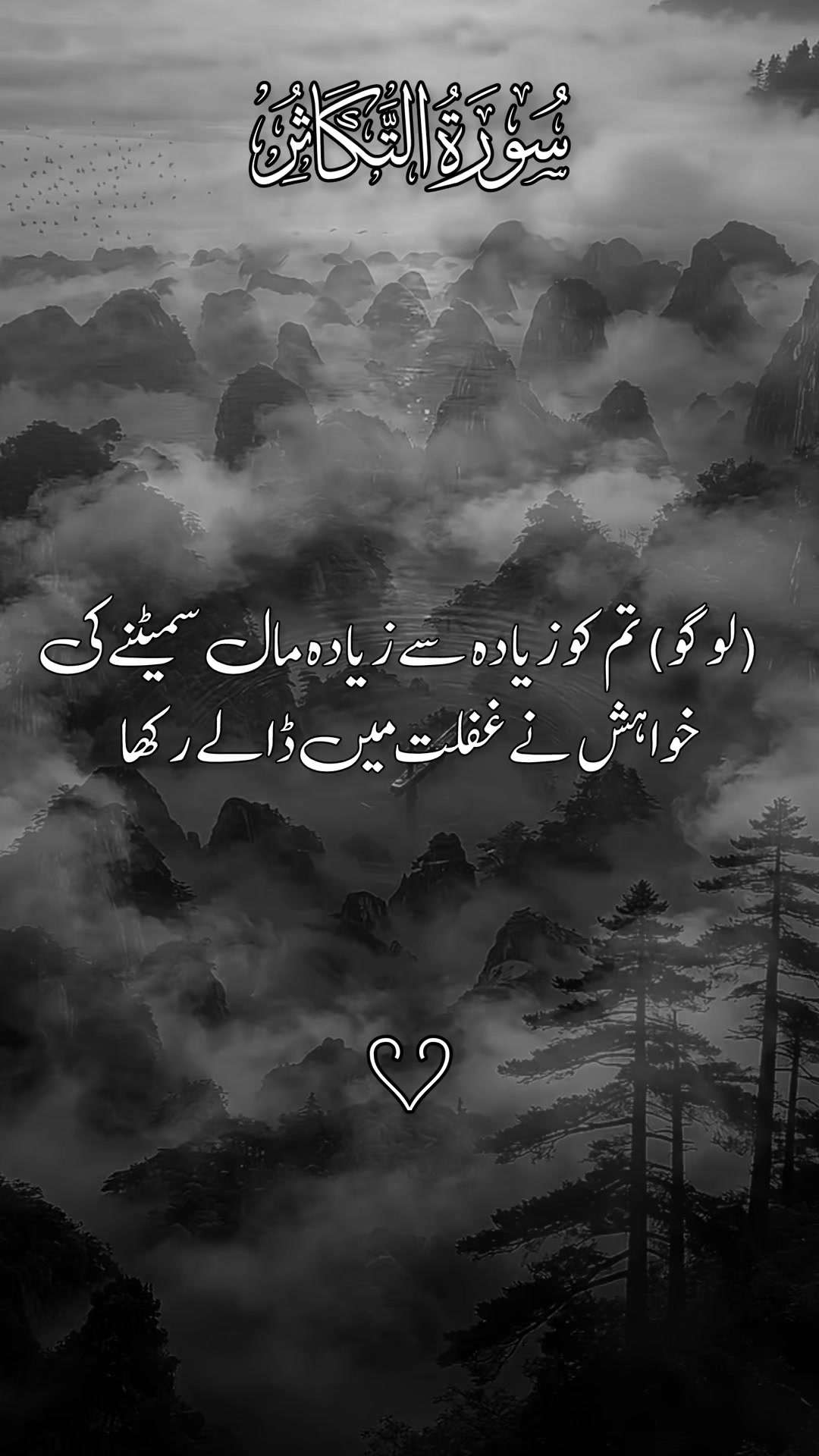 @❣️ Words of Allah ❣️
