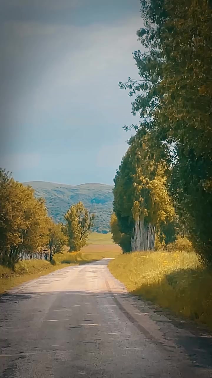 @_Hafizali61
