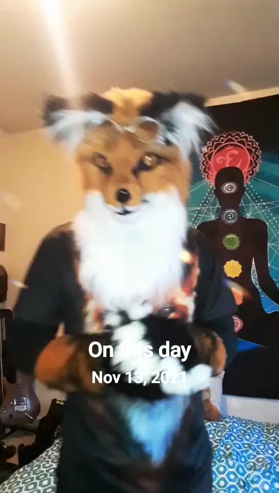 @SaltyFox