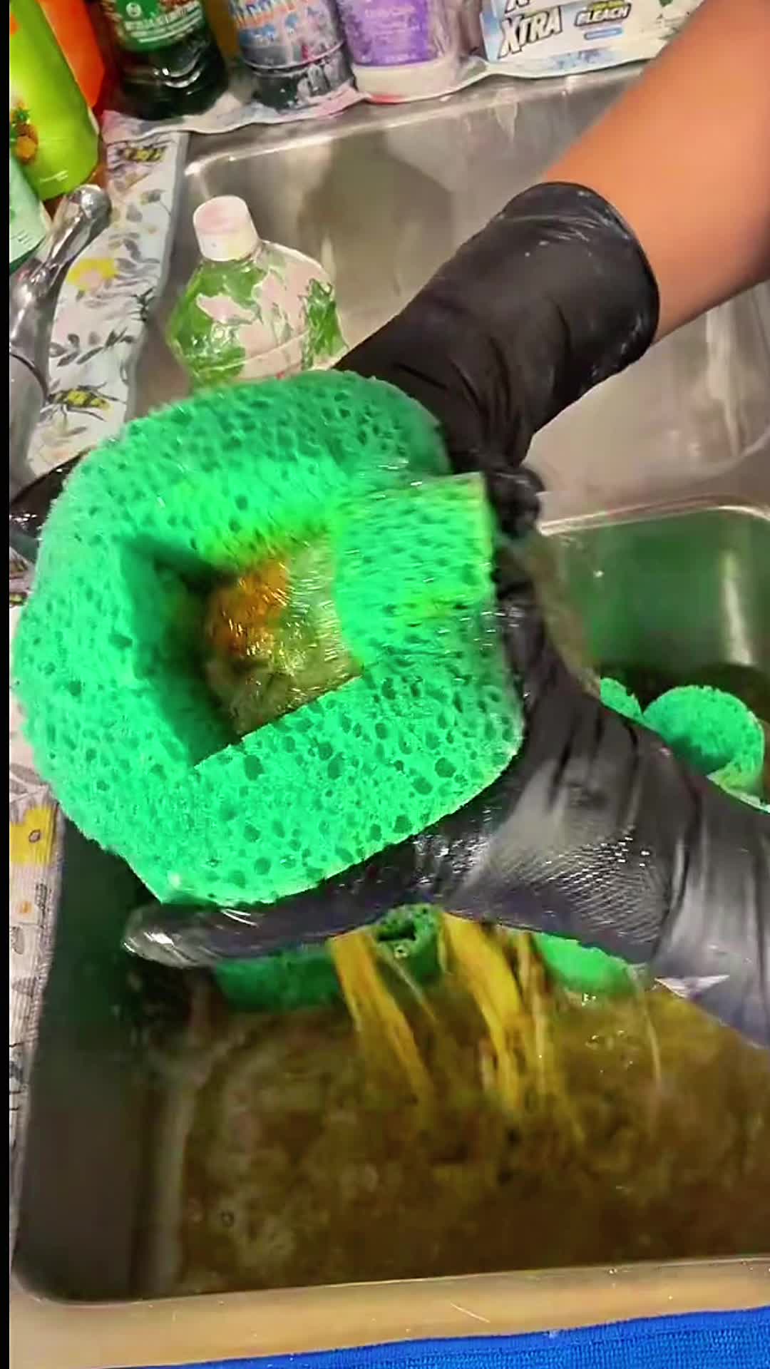 @shutdafoca