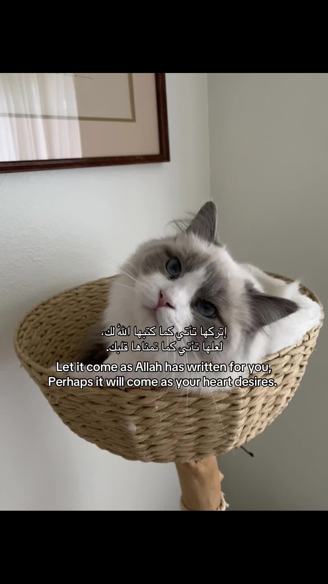 @فيها خير