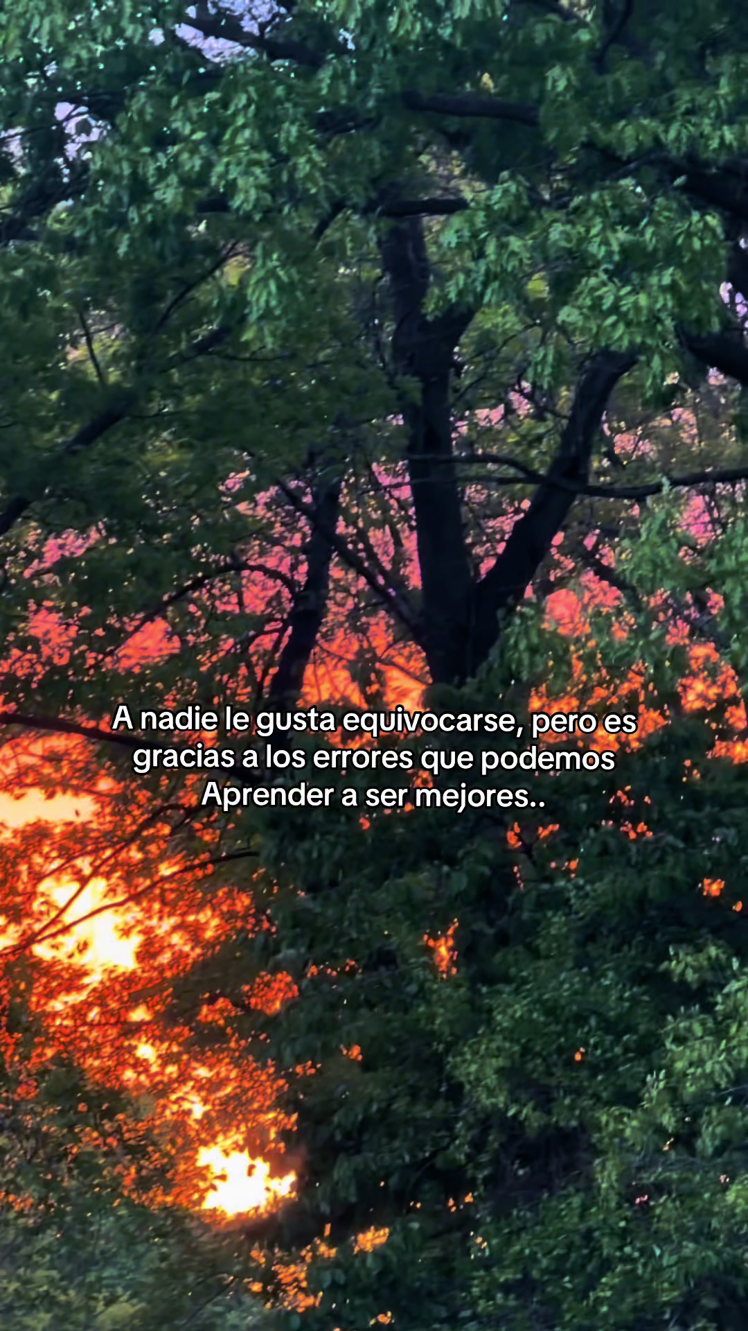 @🔵🔴Isma 🌄⚽️❤️