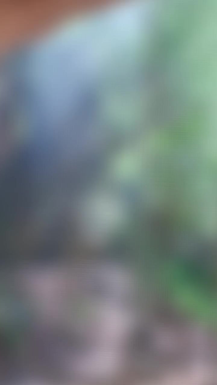 @kentuckyconcreteDad