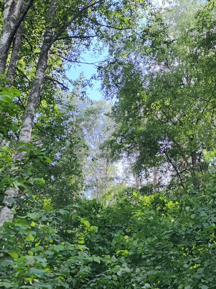 @тгк: Тихий уголок