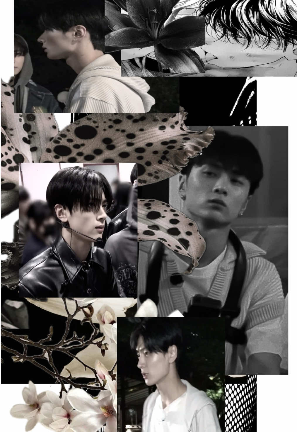 @jongkittyyy