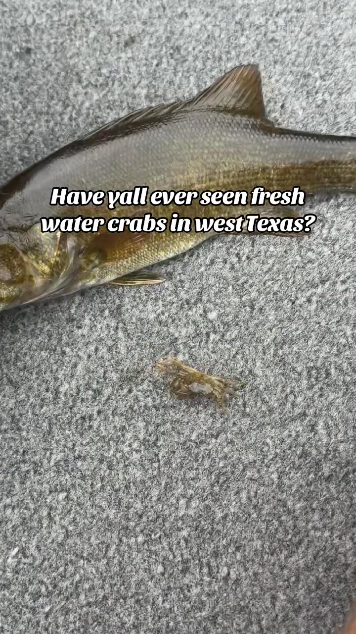 @braydenstokerfishing