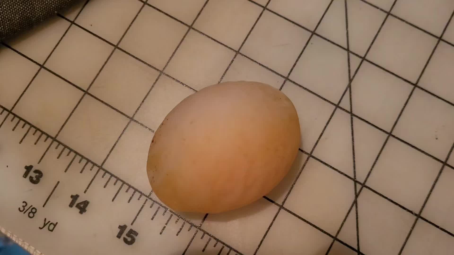@VioletHorizonsFarm