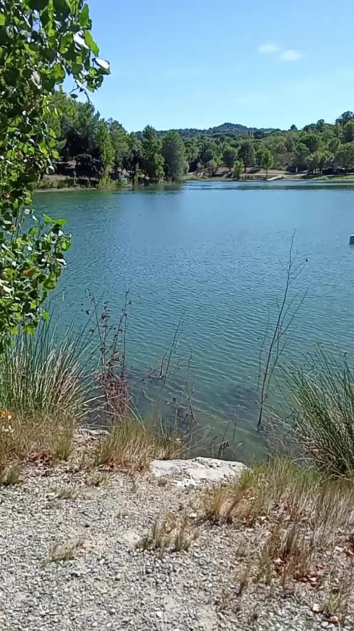 @jasmin Mirage