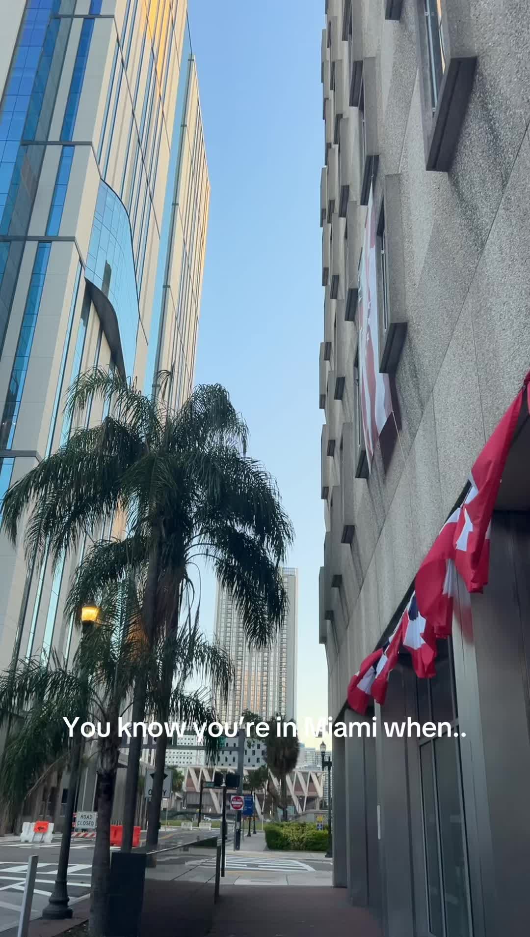 @CJ Saluga