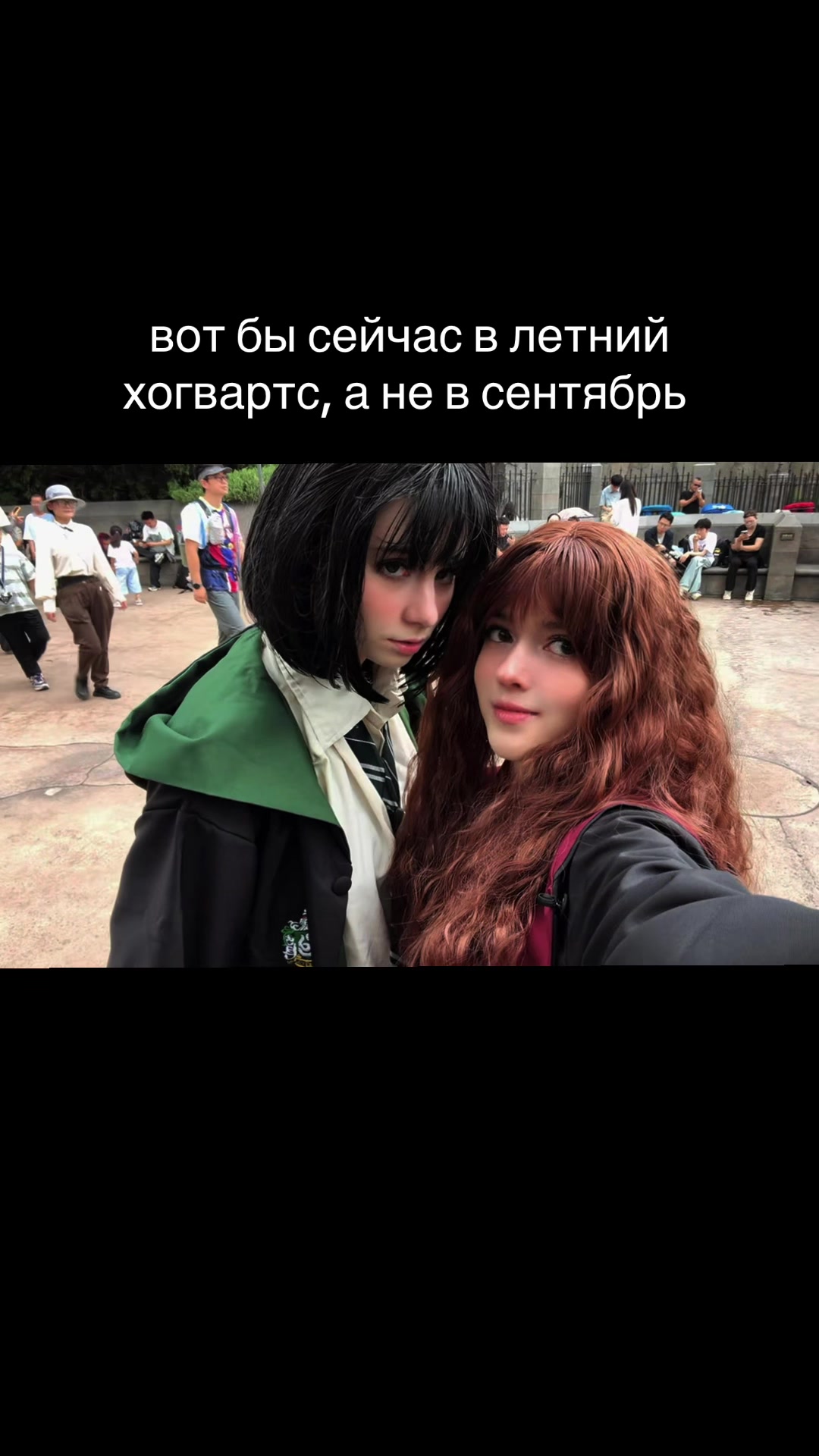 @тгк vivien & meowmulia˚✧₊