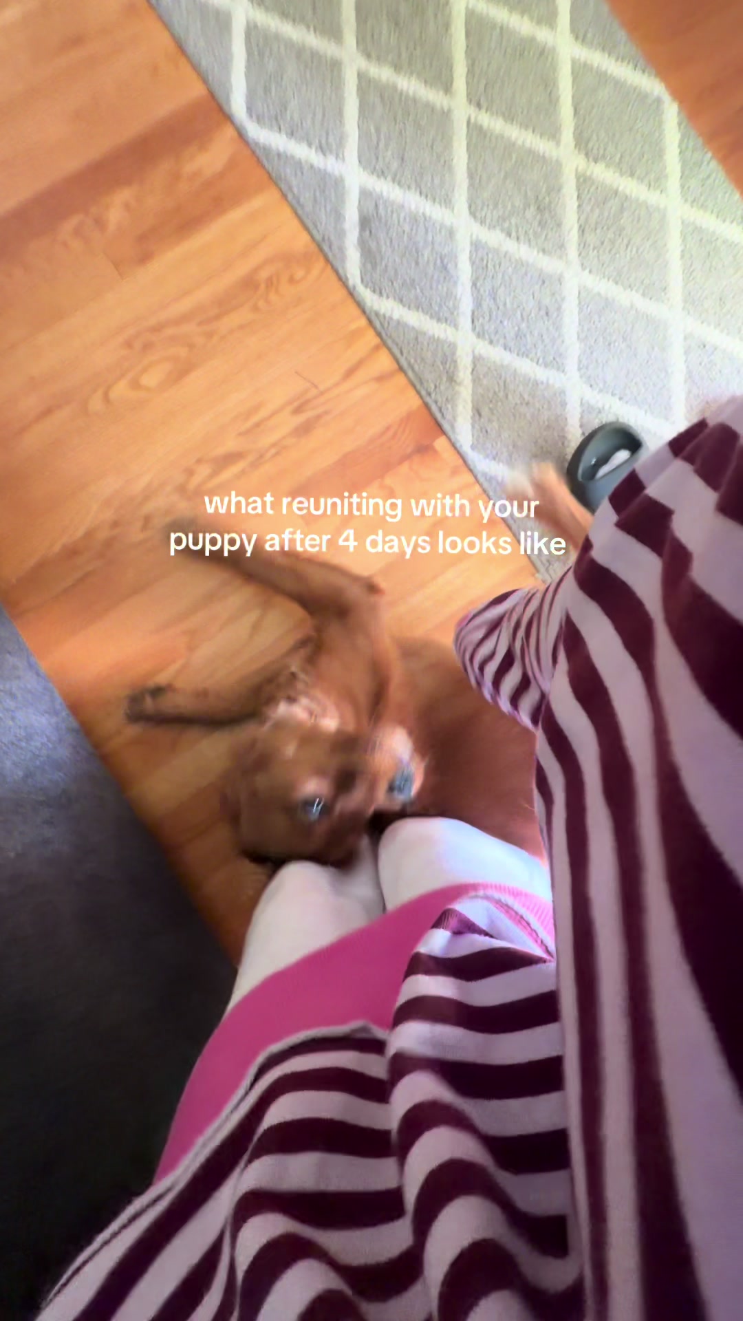 @Kristina