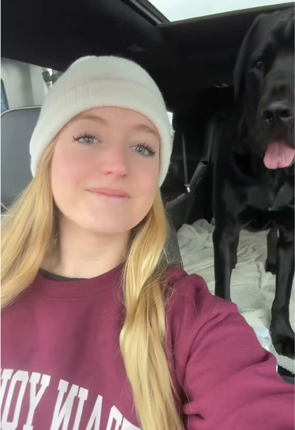 @Taylor + 4 dogs ๐ฉ๐ผ๐ถ๐ถ๐ถ๐ถ