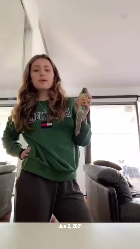 @QbertBird🦜👀