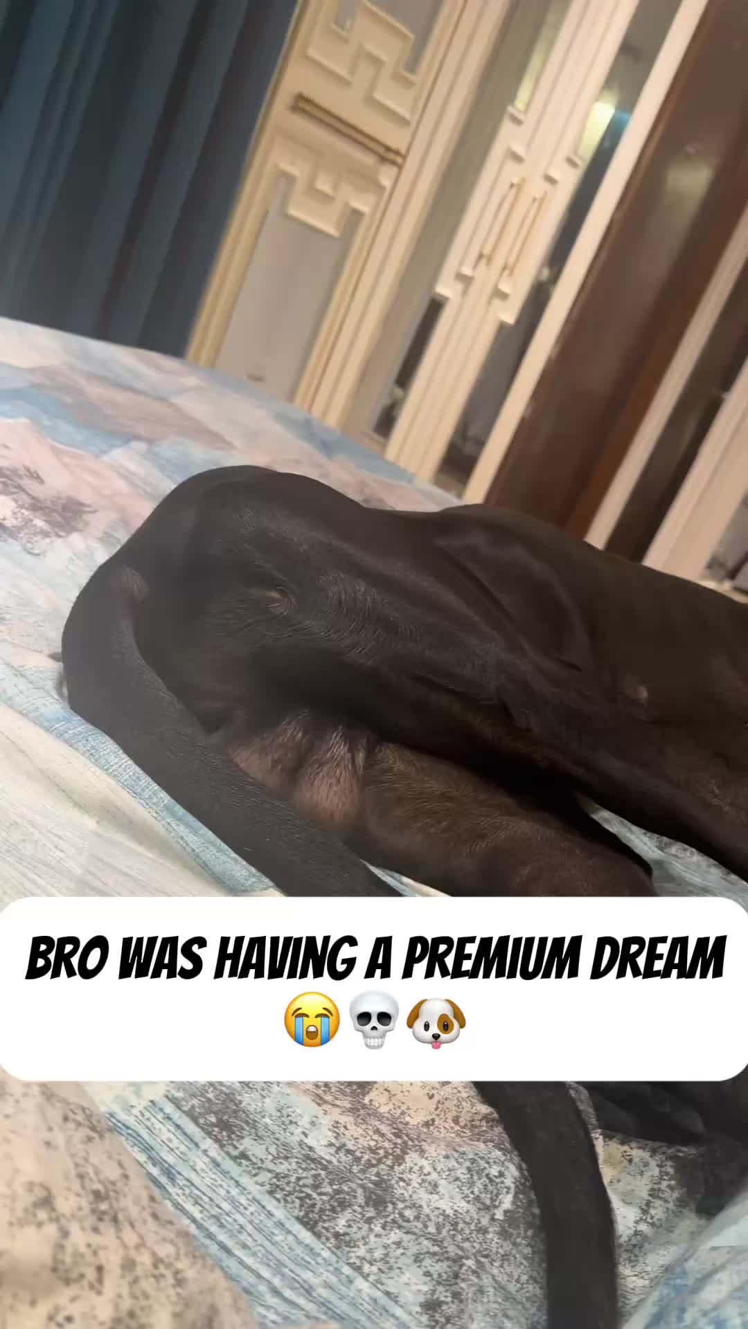 @VEILCLIPZ