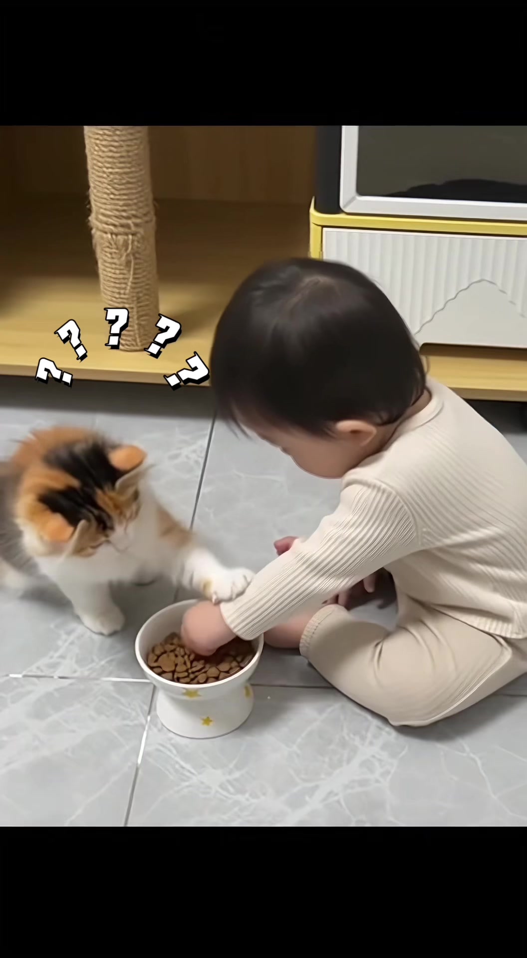 @猫咪历险记