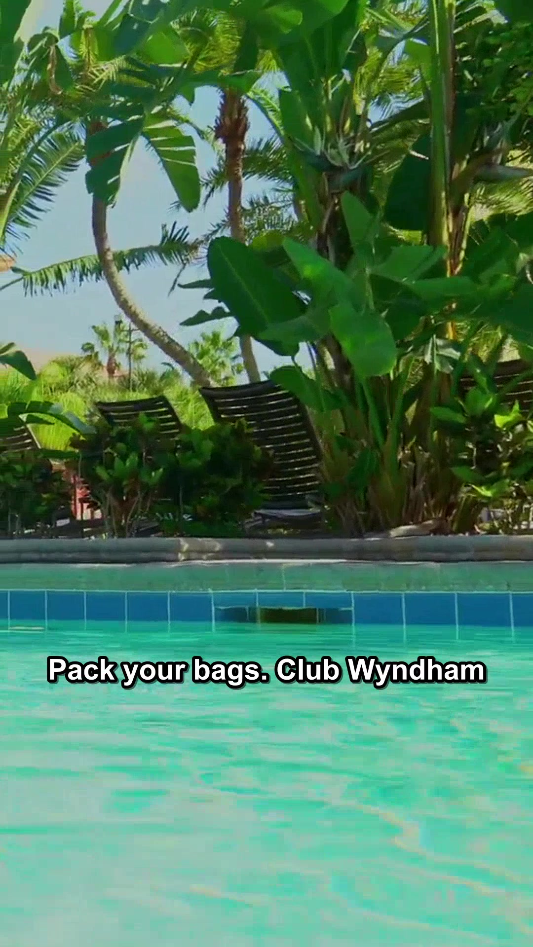 @windowseatvibes