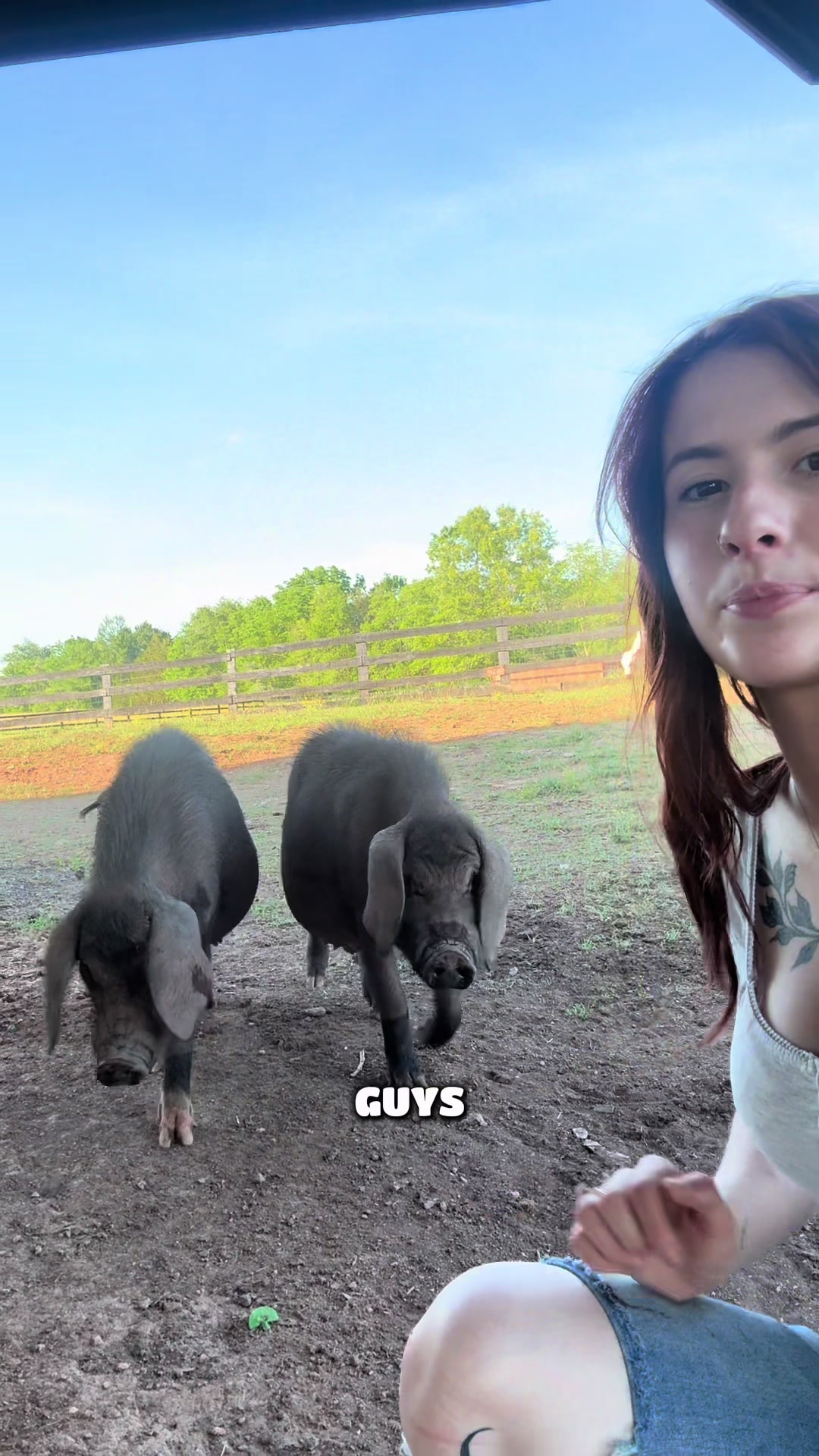 @Sofias snout life 🐽