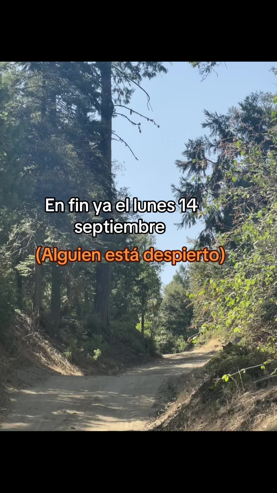 @Lauris LA Chikis Gar