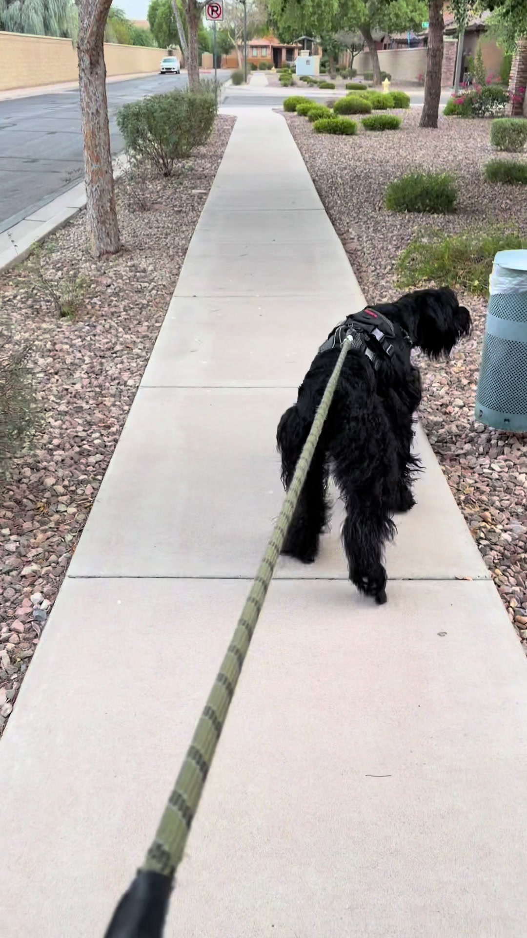 @Fiona Walks