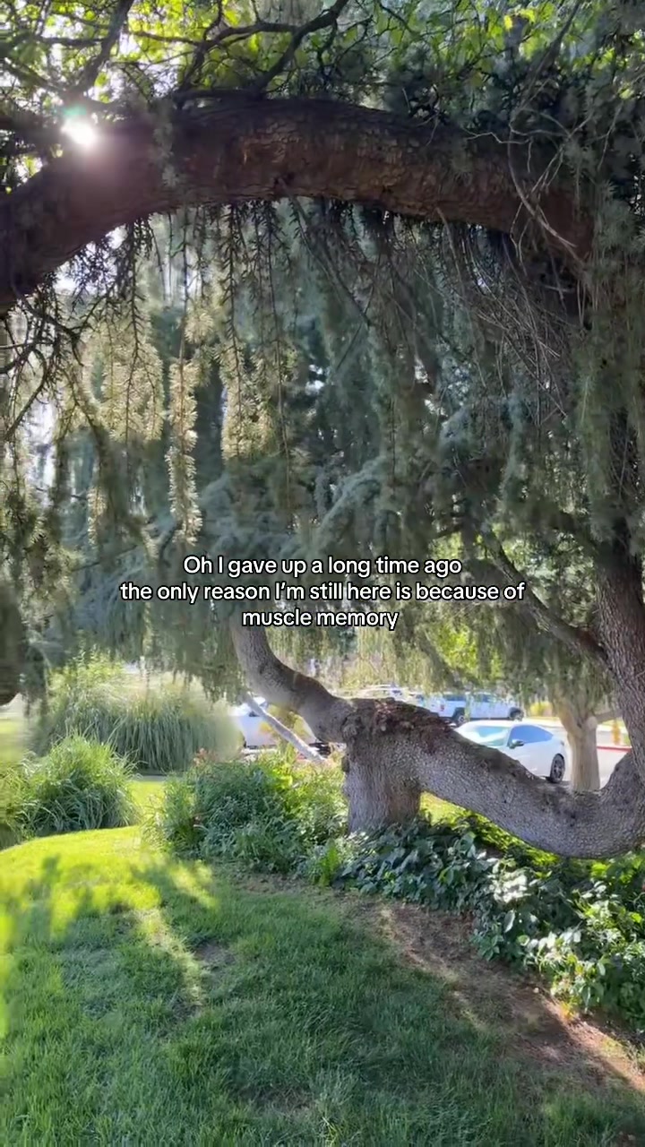 @Thatonelonelyguy24