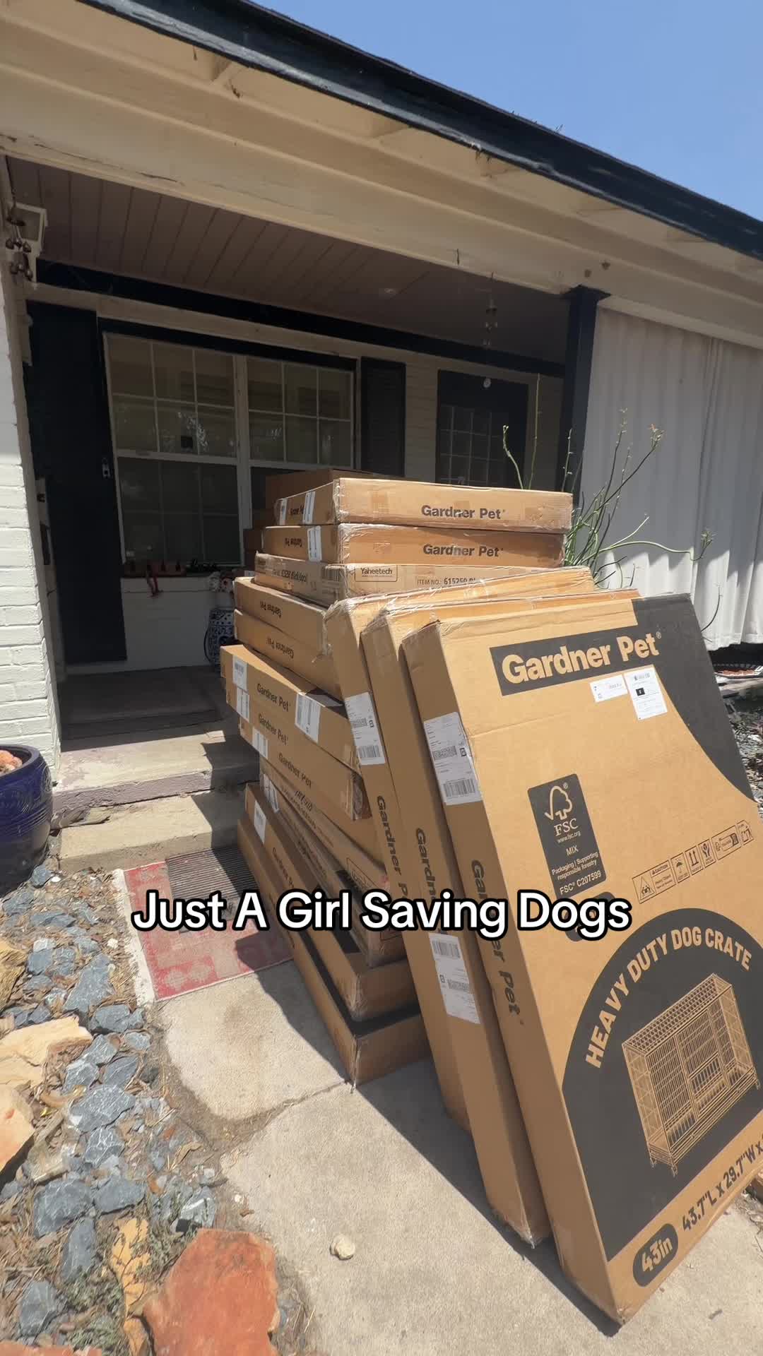 @Just A Girl Saving Dogs