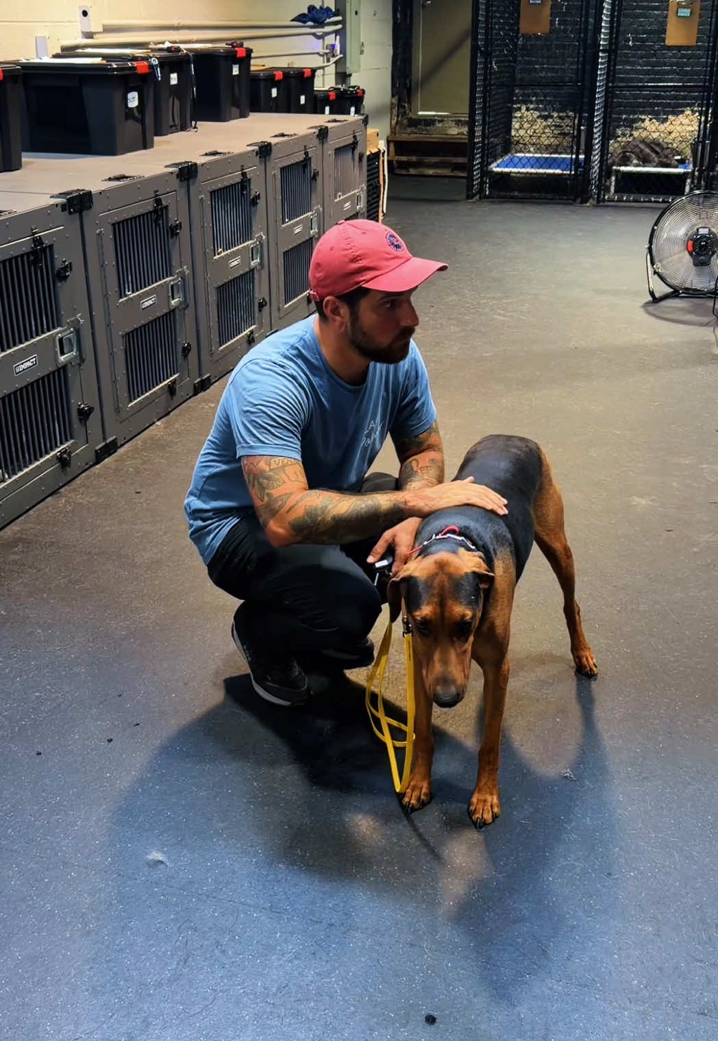 @Miracle K9 Training