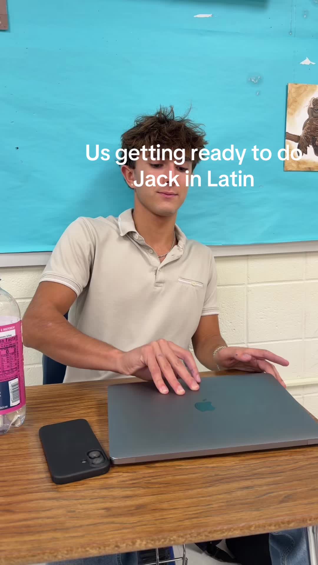 @kitten