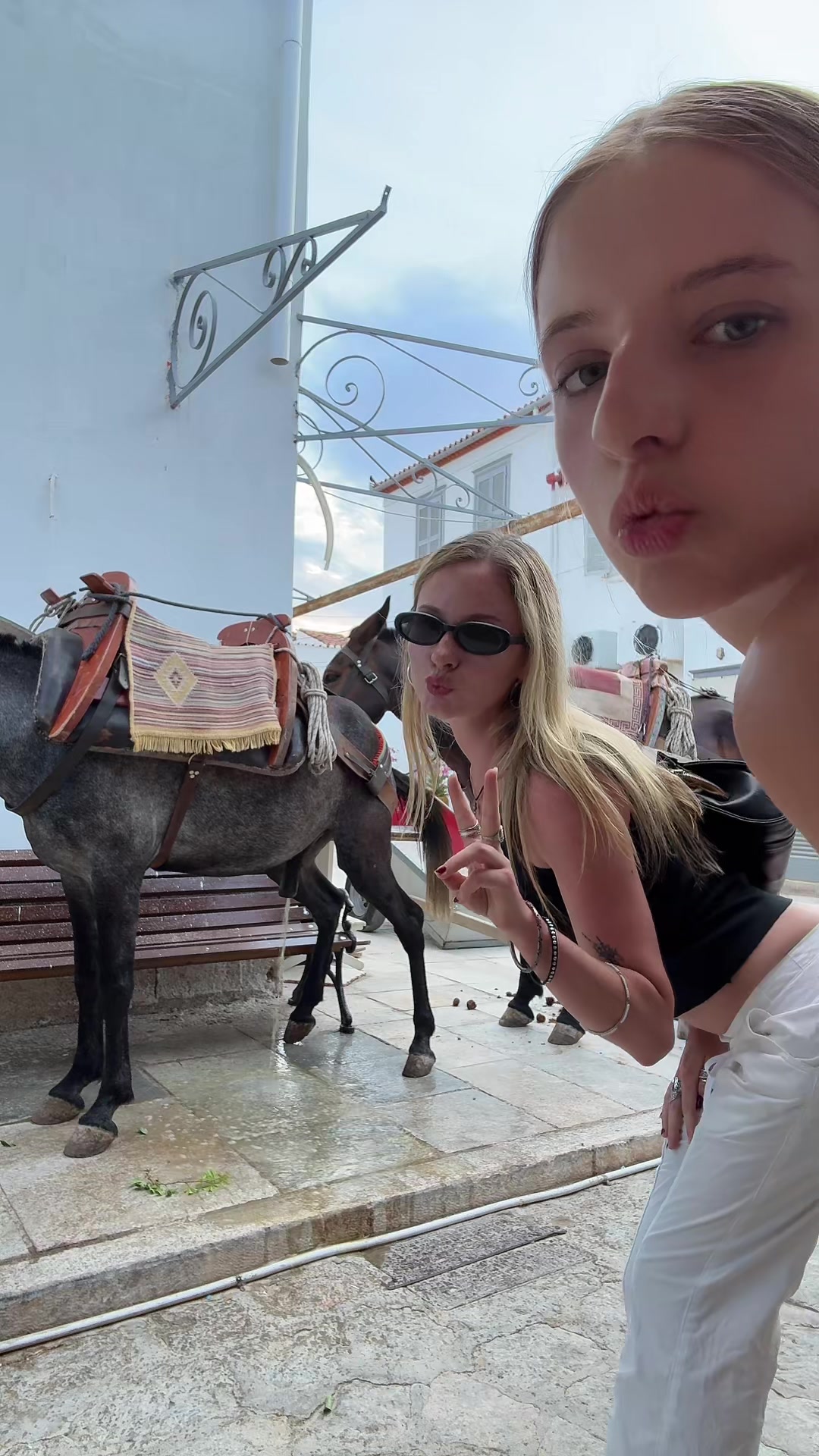 @DingleBerryDankeSchön