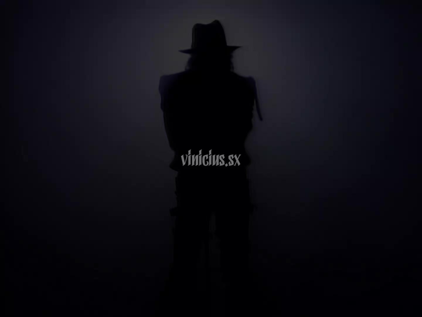 @Vin&iacute;cius