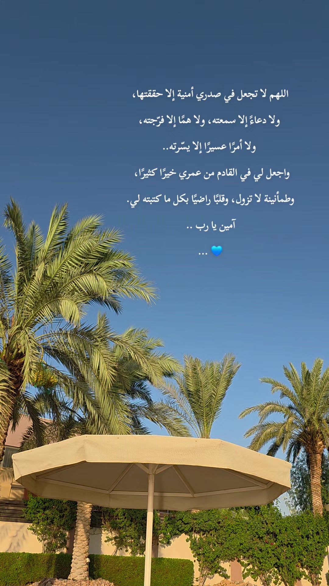 @لأَبْي ..🕊️رَوْحٌ ورَيْحان 🌿