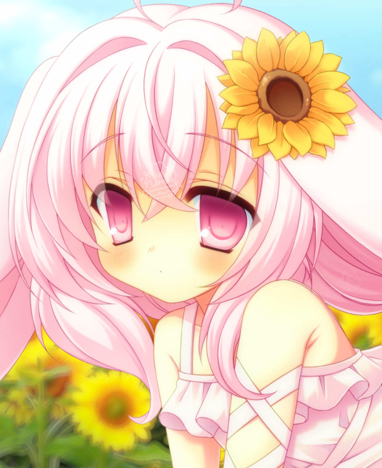 @n e m u ♬.*゚