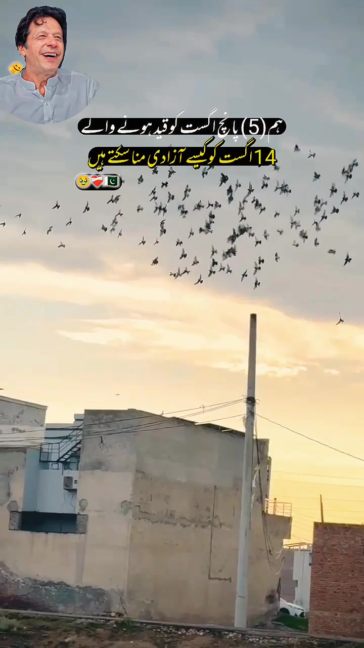 @عدیل رحمن لیہ وال کبوتر باز