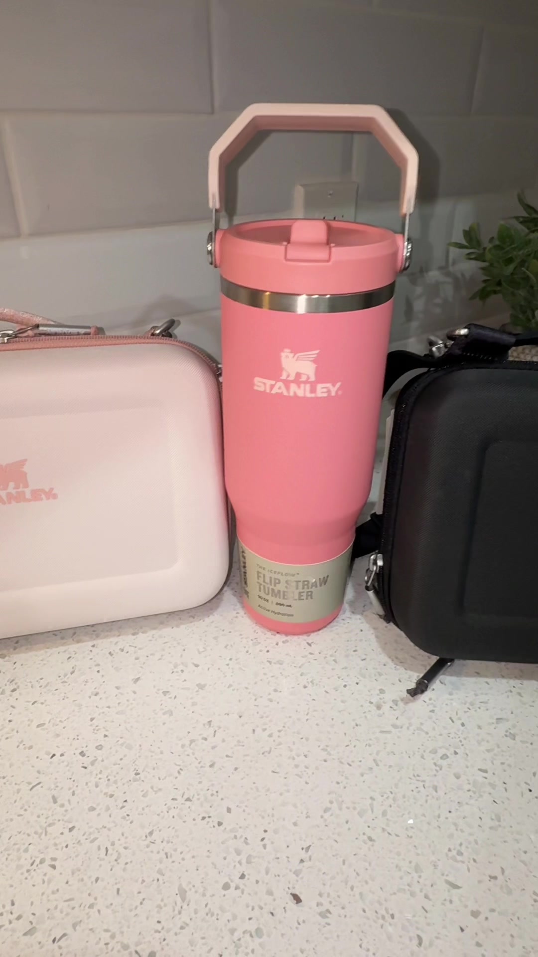 @Prisma Glam 🩷