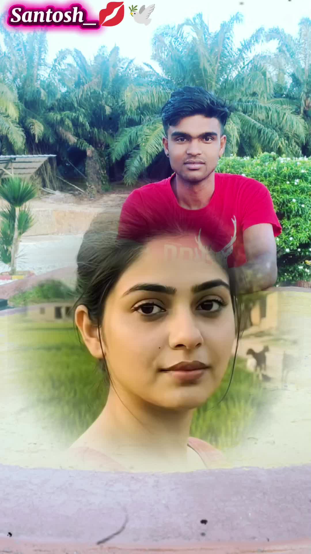 @Rakesh Shah
