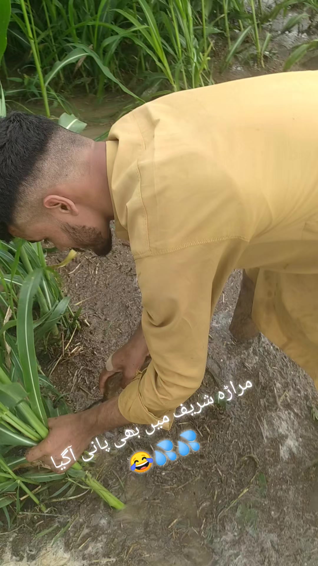 @Aلi SUلEHRI 🚩
