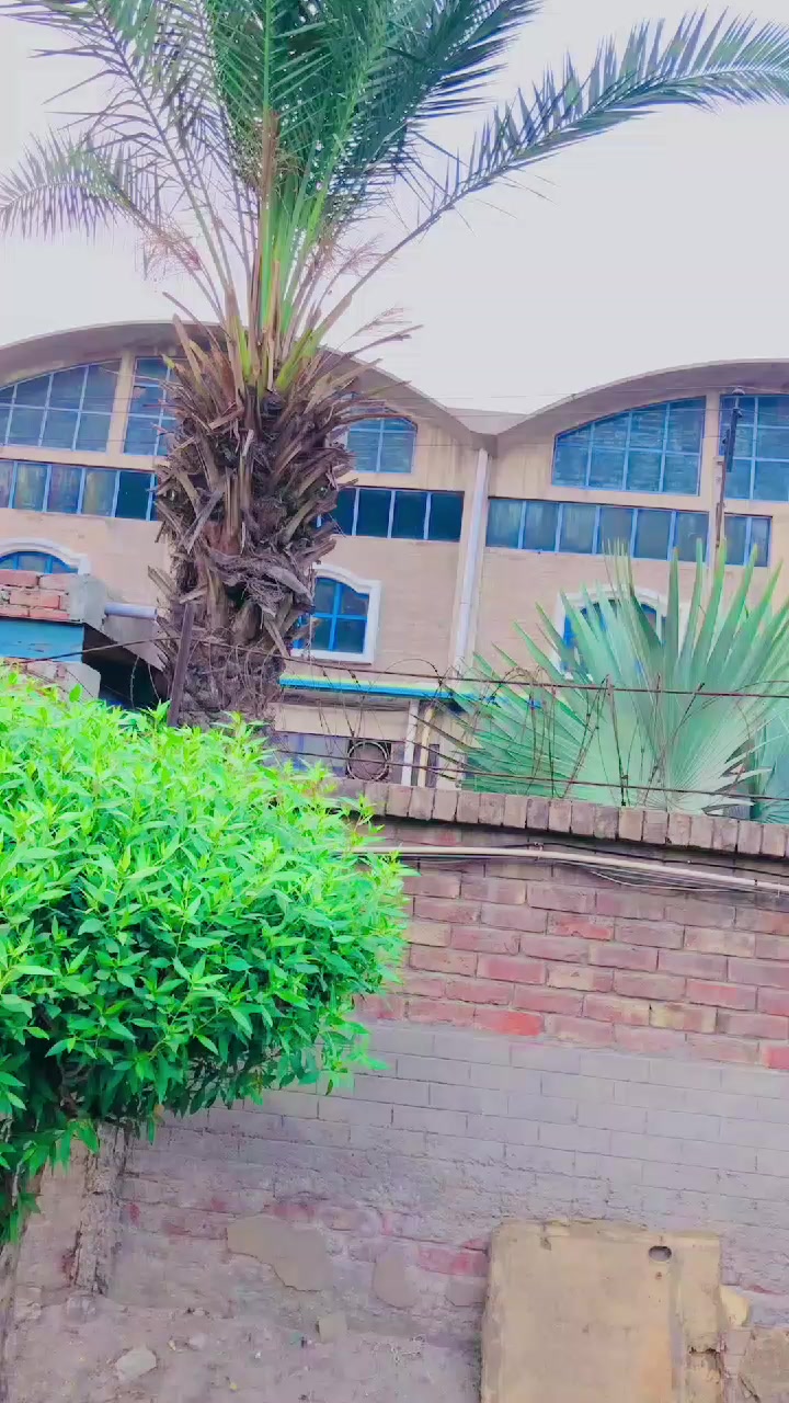 @꧁ل٘اشّارِی بَلُو٘چ ꧂⚡