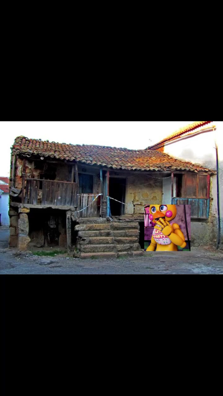 @toy chica
