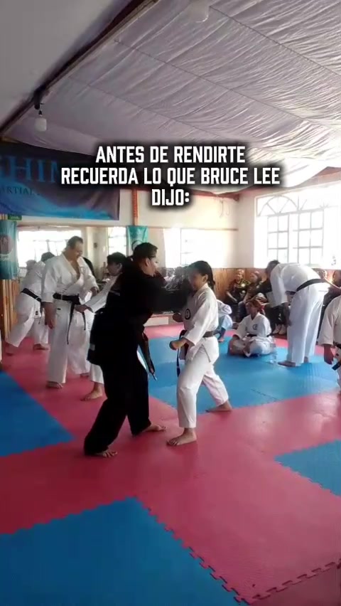 @mauricio.shimei