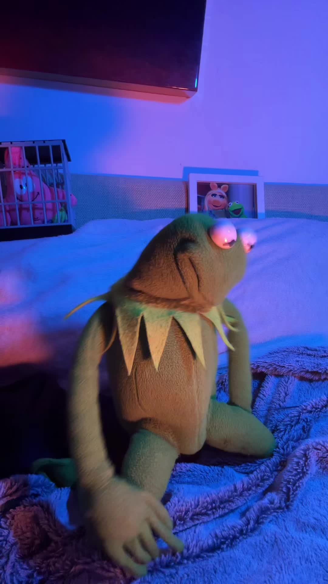 @🐸 Crashout Kermy 🐸