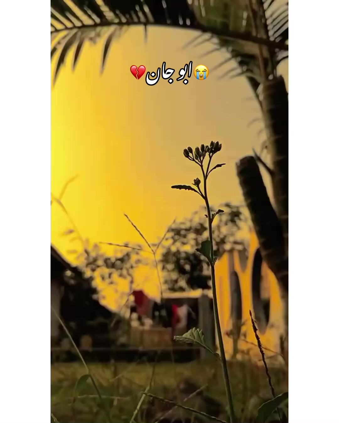 @⚜️𝐊𝐇𝐎𝐊𝐇𝐀𝐑❤️🩹