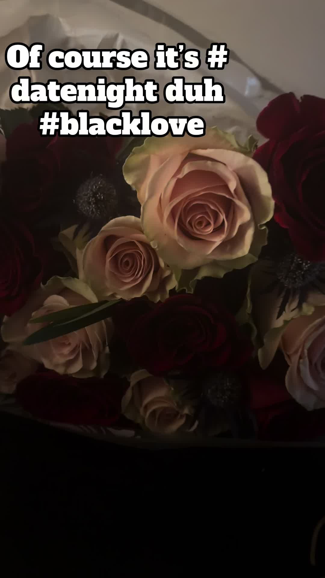 @Queen Amor Ls1516