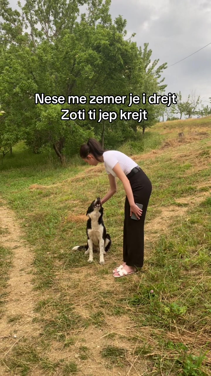 @nazmije