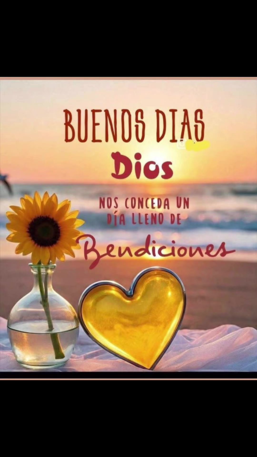 @elvirasvg