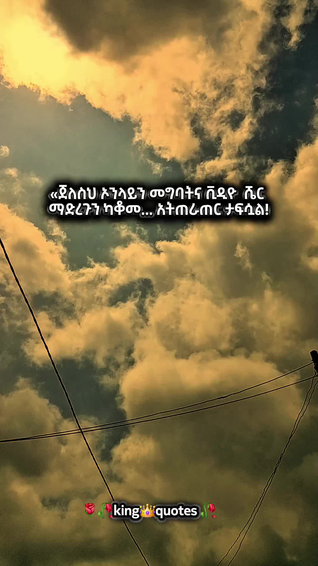@🌹🌾king👑 quote's 🥀🥀
