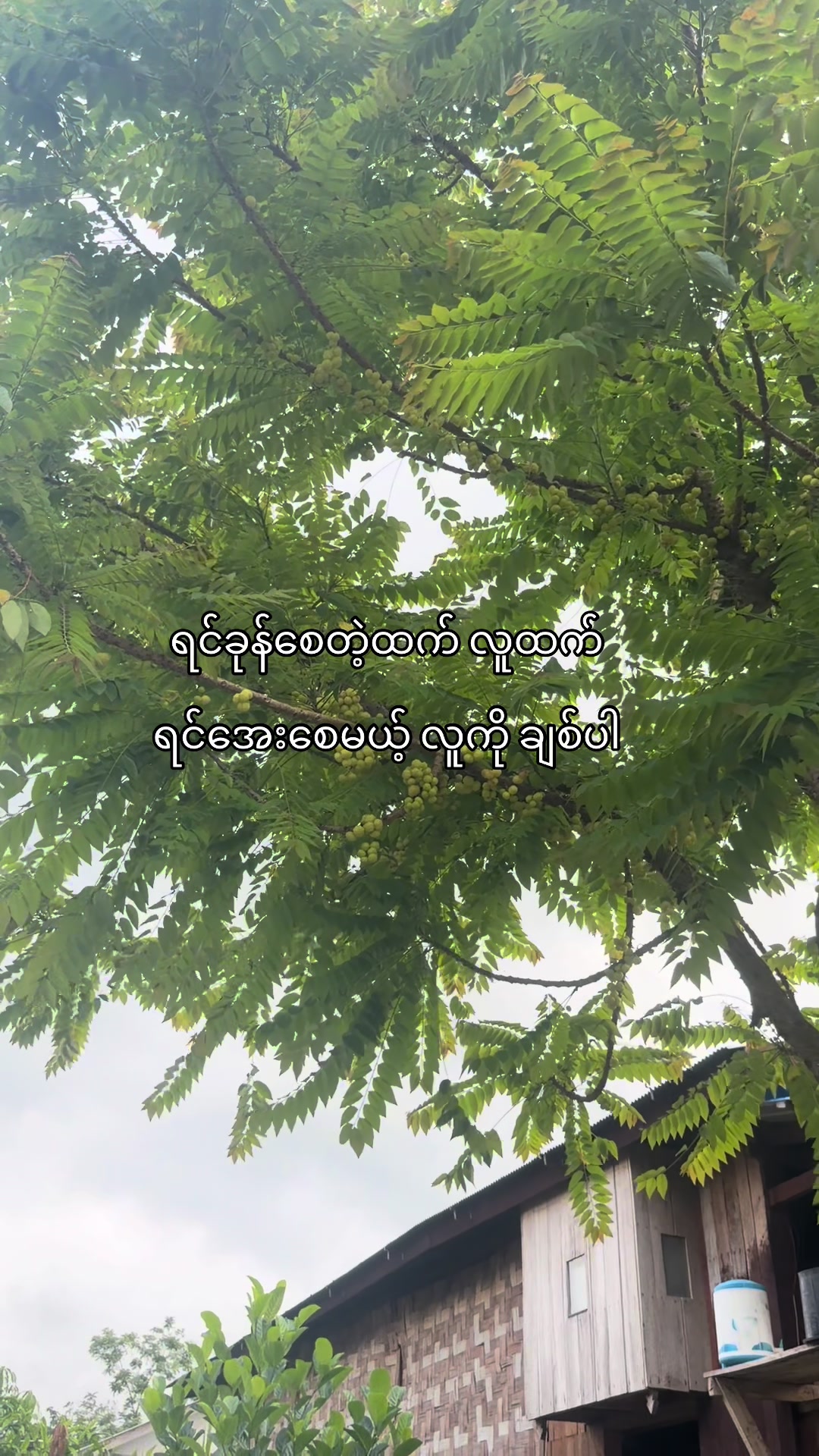 @ကျော့ဝတီအောင်